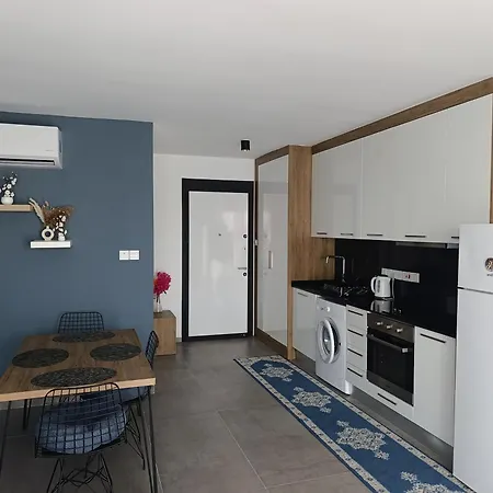 Four Seasons Life 1, Daire Trikomo